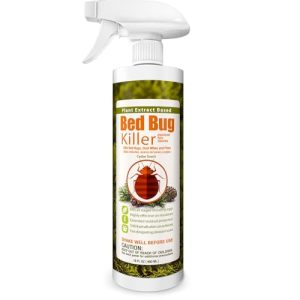 Best Bug Spray for Furniture