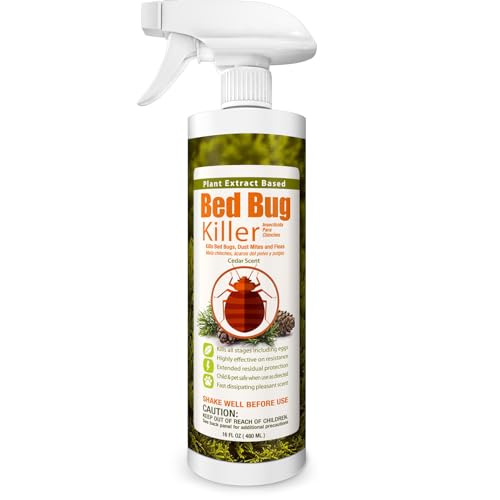 Best Bug Spray for Furniture