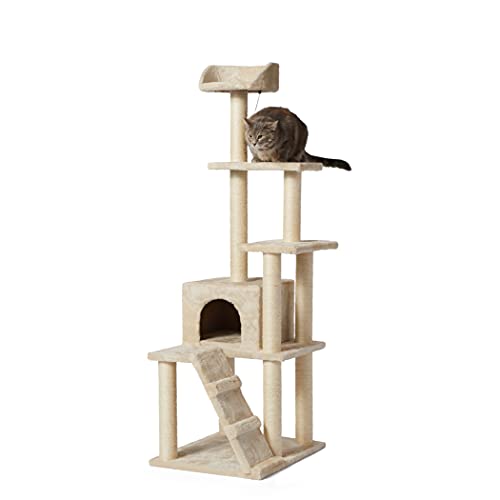 Best Cat Furniture for Large Cats