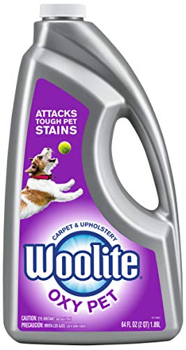 Best Cleaner for Wool Rug