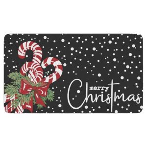 Best Entryway Rug for Winter