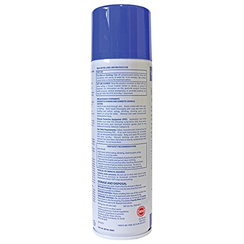 Best Flea Spray for Home And Furniture