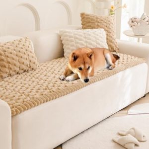 Best Furniture Fabric for Dogs