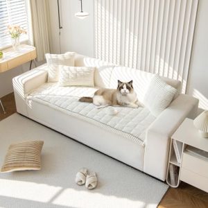 Best Furniture for Pets