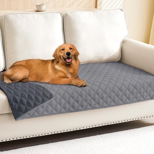 Best Furniture Material for Dogs