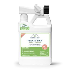 Best Furniture Spray for Fleas