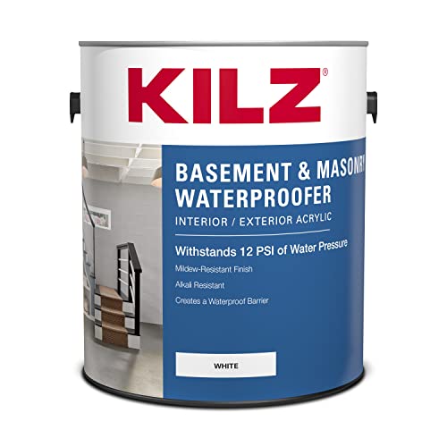 Best Paint for Basement Cement Walls