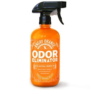 Best Pet Odor Eliminator for Furniture