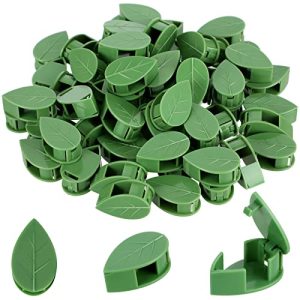 Best Plants for a Retaining Wall