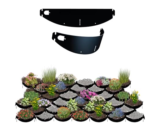 Best Plants for Retaining Walls