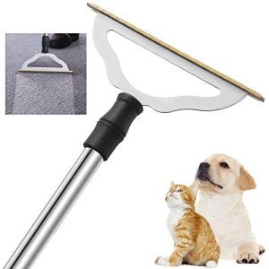 Best Rugs for Pet Hair