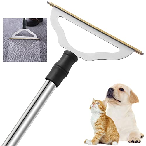 Best Rugs for Pet Hair