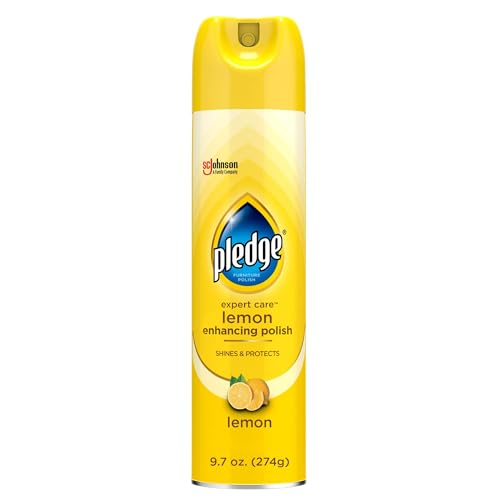Best Spray for Furniture