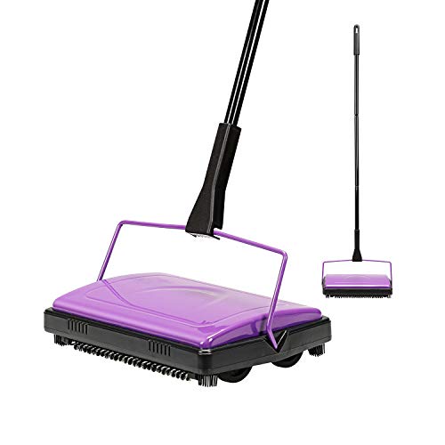 Best Vacuum for Thin Rugs