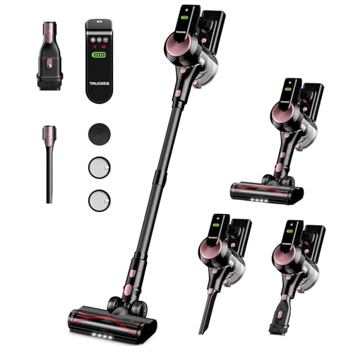 Best Vacuum for Wood Floors And Area Rugs