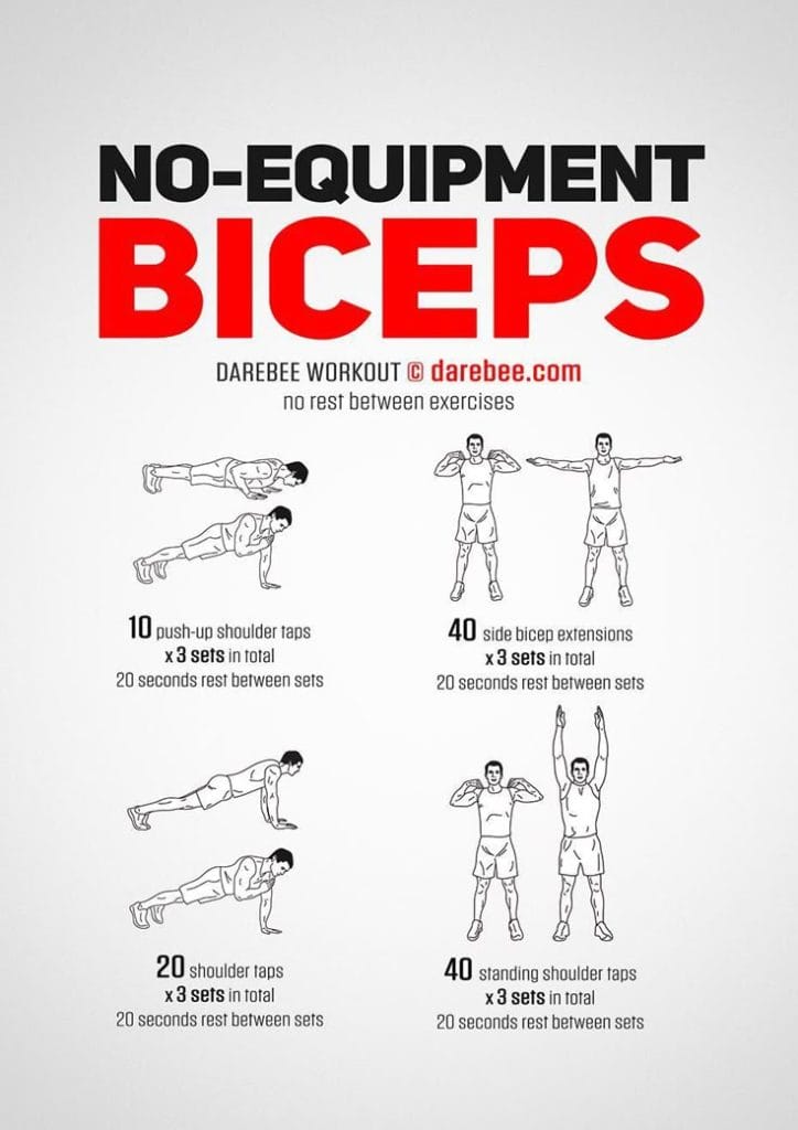 Bicep Exercises at Home No Equipment