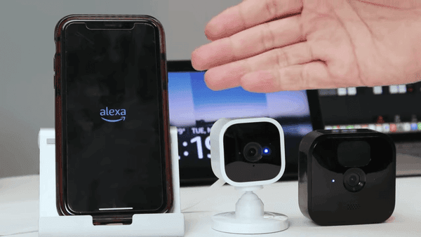 Blink Smart Home Skill