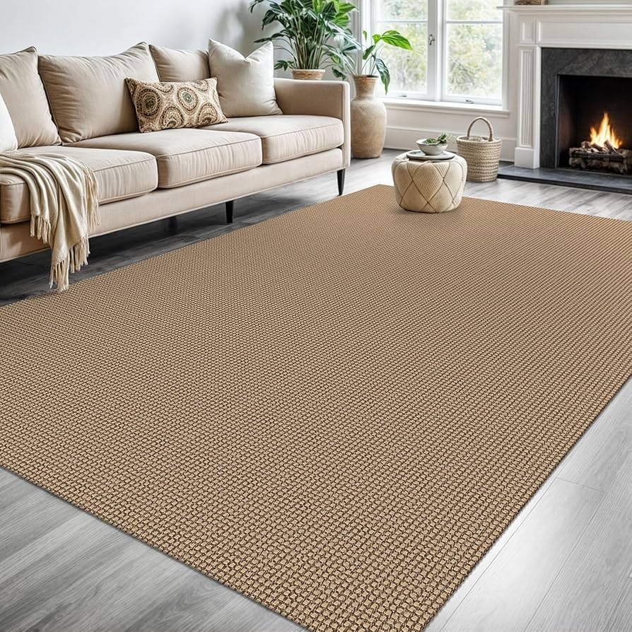Brown Rug for Living Room