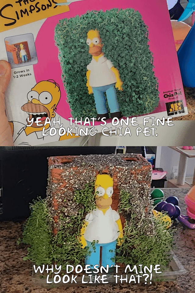 Chia Pet Homer Wall