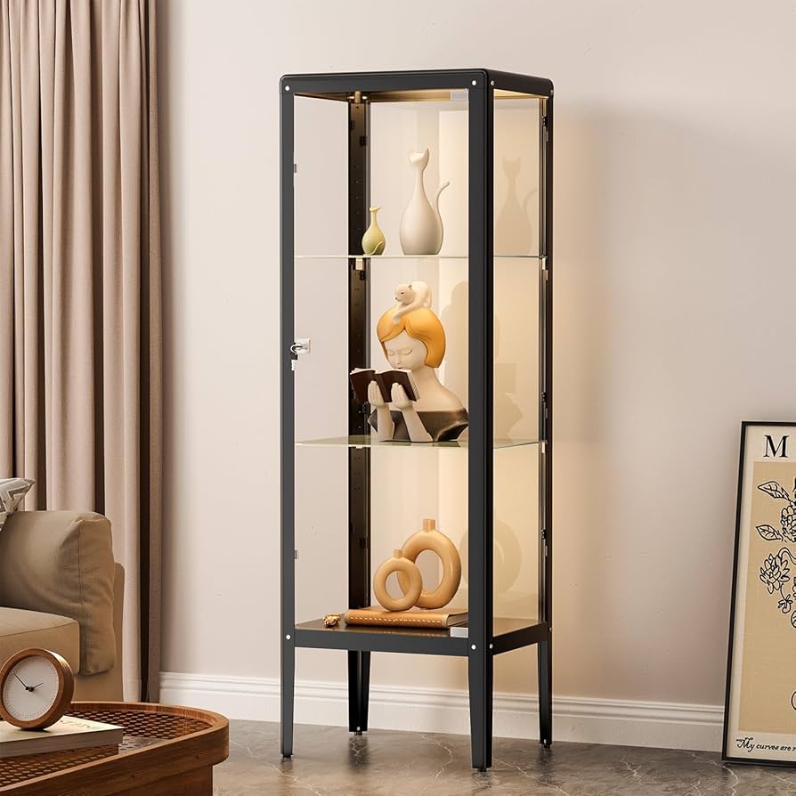 Display Case for Living Room