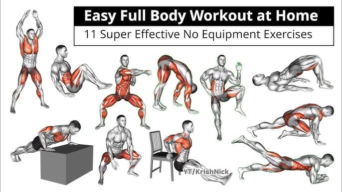 Full-Body Workout at Home No Equipment