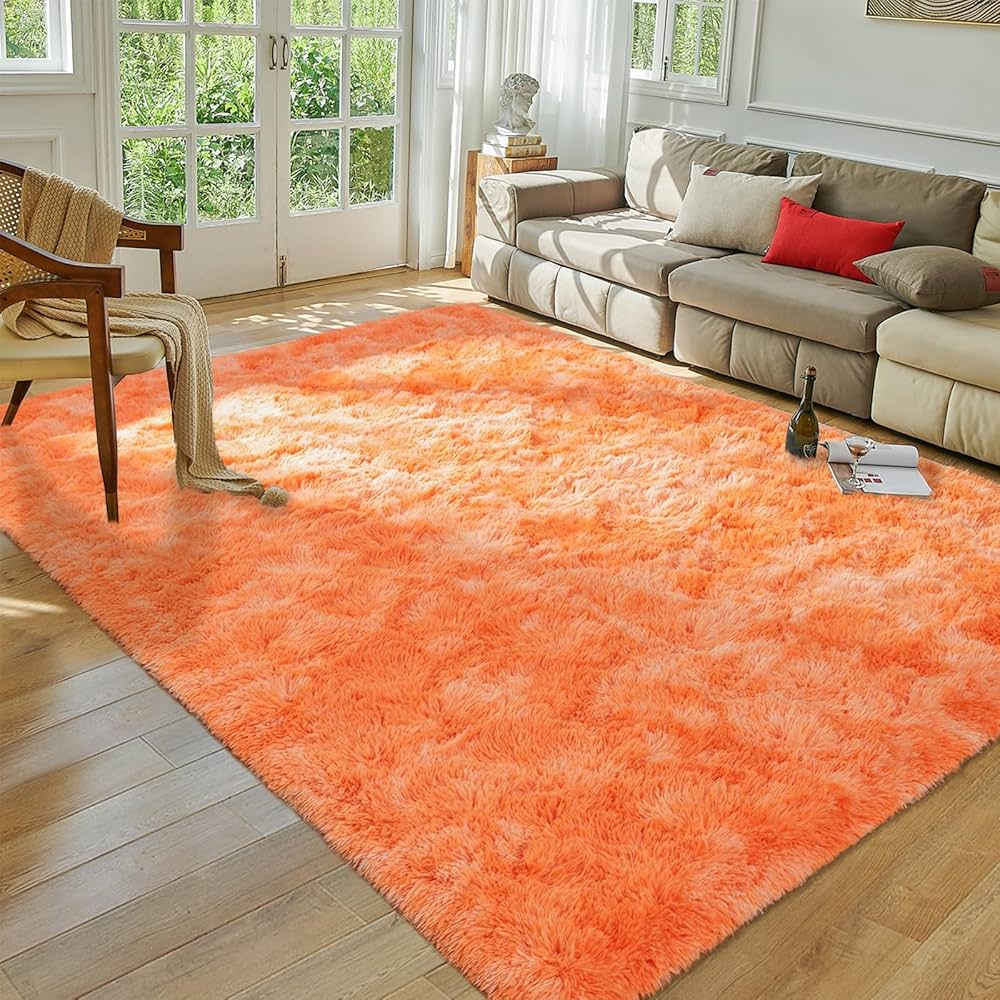 Orange Rugs for Living Room