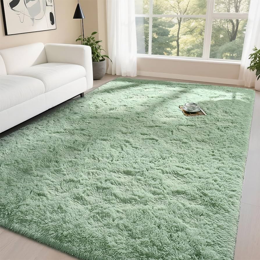 Sage Green Rugs for Living Room