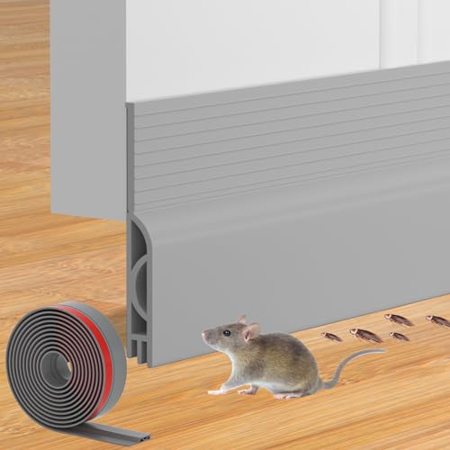 What Insulation is Best for Exterior Walls